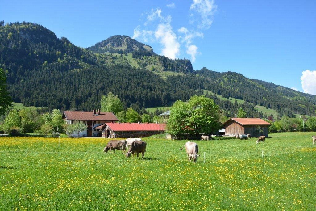 Heulandhof Villa Bad Hindelang Exteriör bild